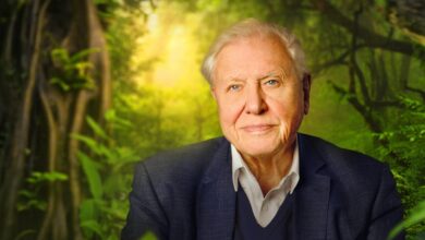 Sir David Attenborough 99 Yaşında Emmy Kazandı!